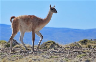 Chile vejrudsigt