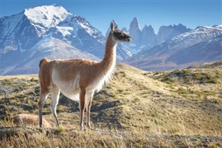 Chile időjárás-jelentés
