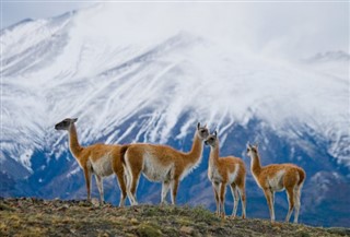 Chile previsioni del tempo