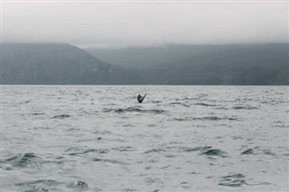 Juleøen vejrudsigt