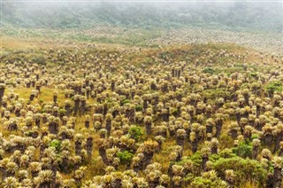 Colombia previsioni del tempo