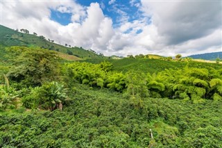 Colombia vejrudsigt
