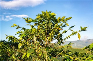 Colombia időjárás-jelentés