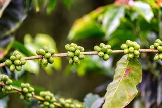 Colombia previsioni del tempo