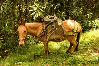 Colombia vejrudsigt
