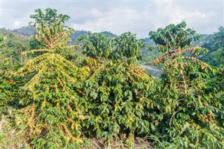 Colombia weather forecast