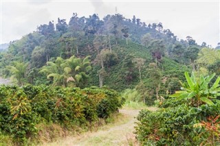 Colombia vejrudsigt