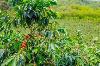 Colombia időjárás-jelentés