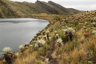 Colombia vejrudsigt