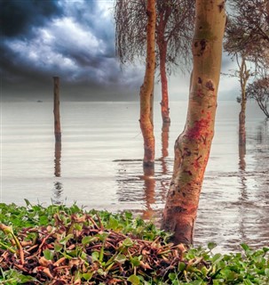 Congo, Democratic Republic weather forecast