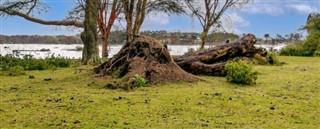 Congo, Den Demokratiske Republik vejrudsigt
