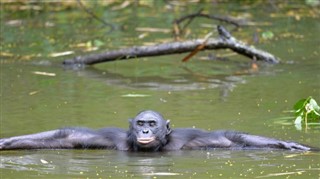 Congo, Republikken vejrudsigt