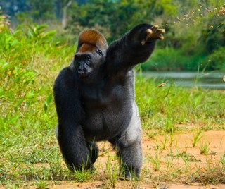 Congo, Republikken vejrudsigt