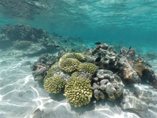 les Îles Cook prévisions météorologiques