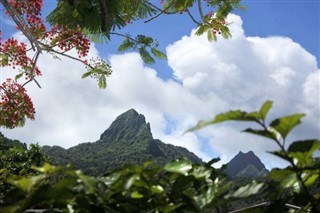 Cook Islands weather forecast
