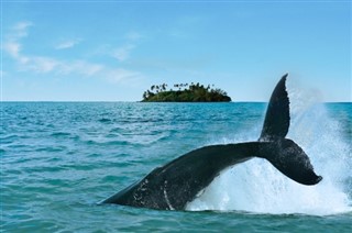 Cook Islands weather forecast