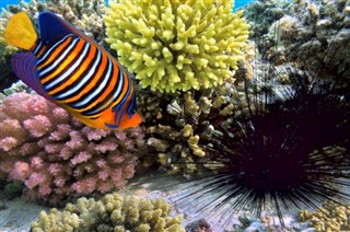 Islas del Mar del Coral pronóstico del tiempo