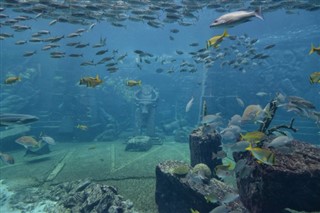Coral Sea Islands vejrudsigt