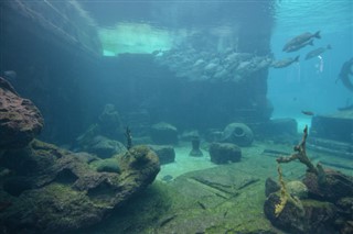 Coral Sea Islands prévisions météorologiques