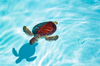 Coral Sea Islands weather forecast