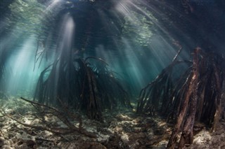 Coral Sea Islands prévisions météorologiques