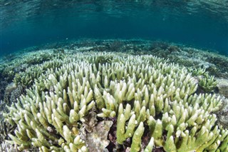 Coral Sea Islands weather forecast
