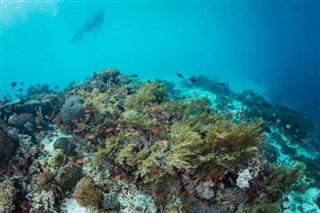Coral Sea Islands prévisions météorologiques