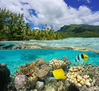 Coral Sea Islands prévisions météorologiques
