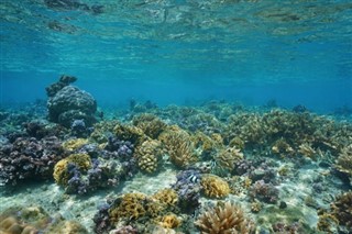 Islas del Mar del Coral pronóstico del tiempo