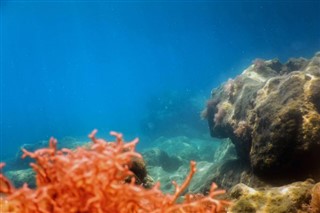 Coral Sea Islands prévisions météorologiques