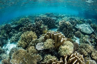 Islas del Mar del Coral pronóstico del tiempo