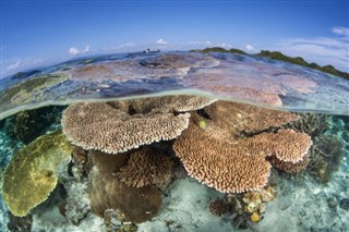 Coral Sea Islands prévisions météorologiques