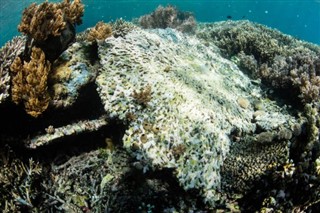 Coral Sea Islands prévisions météorologiques