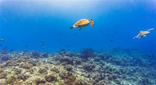 Coral Sea Islands prévisions météorologiques