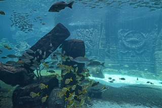 Coral Sea Isole previsioni del tempo