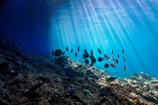 Coral Sea Islands vejrudsigt