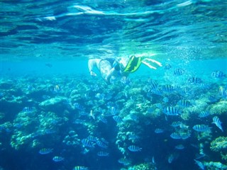 Coral Sea Islands weather forecast