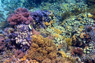 Coral Sea Islands prévisions météorologiques