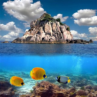 Coral Sea Islands vejrudsigt
