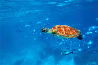 Islas del Mar del Coral pronóstico del tiempo
