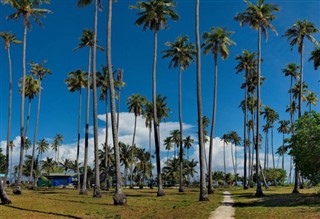 Coral Sea Islands vejrudsigt