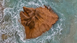Islas del Mar del Coral pronóstico del tiempo