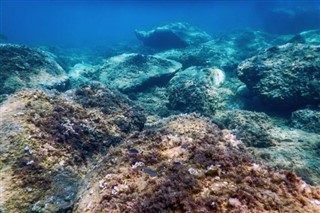 コーラル・シー諸島 天気予報