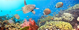Coral Sea Islands prévisions météorologiques