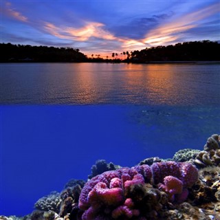 Coral Sea Islands vejrudsigt