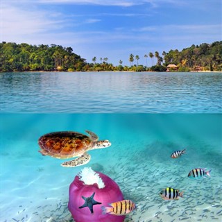 Islas del Mar del Coral pronóstico del tiempo
