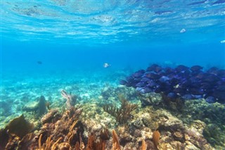 Islas del Mar del Coral pronóstico del tiempo