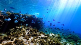 Coral Sea Islands prévisions météorologiques