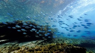 Islas del Mar del Coral pronóstico del tiempo