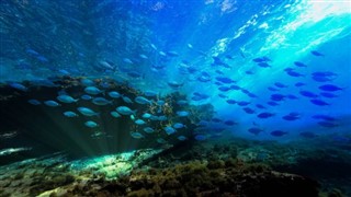 Islas del Mar del Coral pronóstico del tiempo